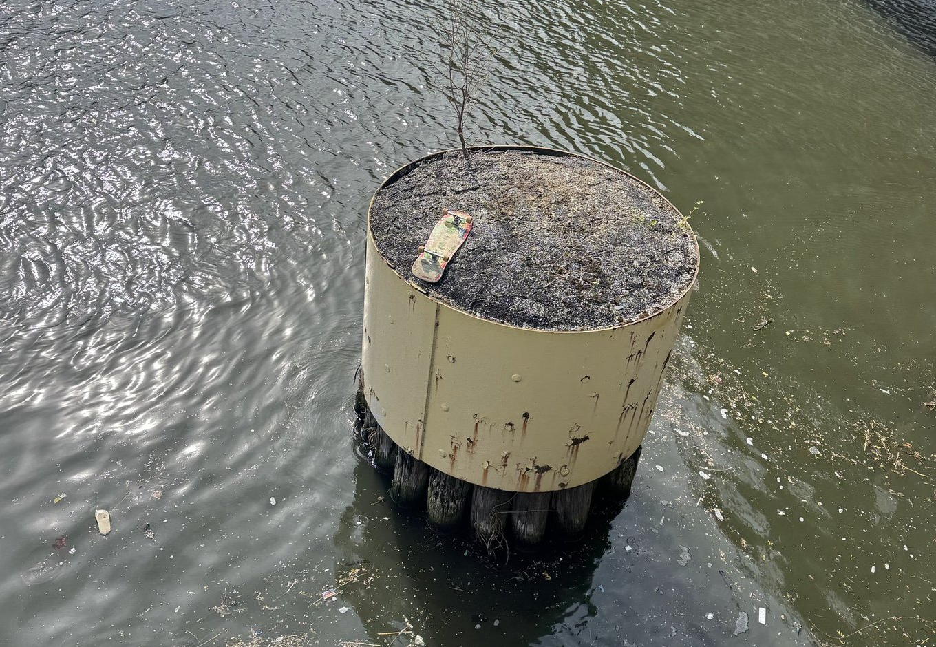 Mysterious Wave of Abandoned Skateboards Appearing Across the City